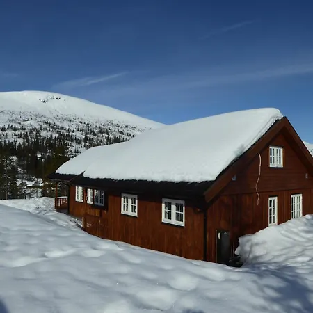 Ny I Flott Turterreng Nore