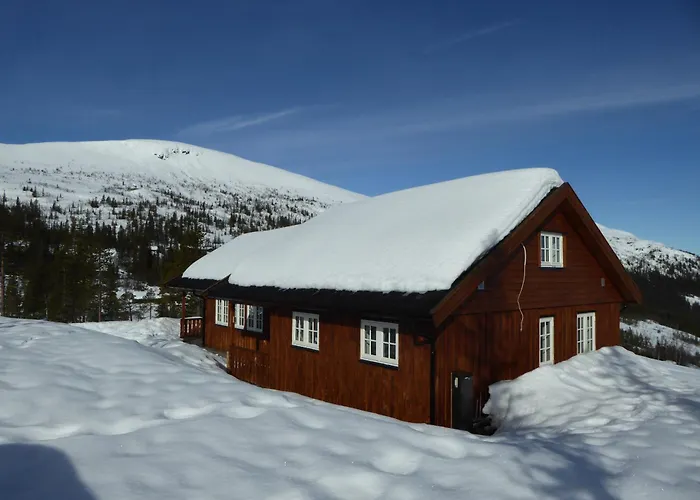 Ny I Flott Turterreng Nore